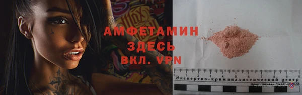 спайс Богданович