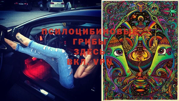 спайс Богданович