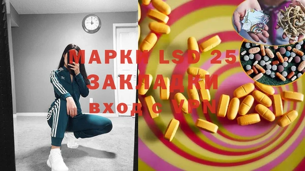 спайс Богданович