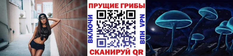 как найти наркотики  Беслан  Галлюциногенные грибы Cubensis 